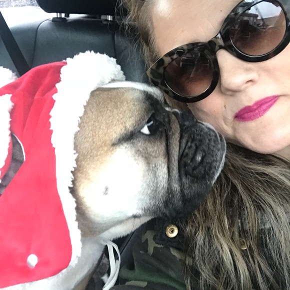 Meet your Posher, Trilby - Picture 2 of 8